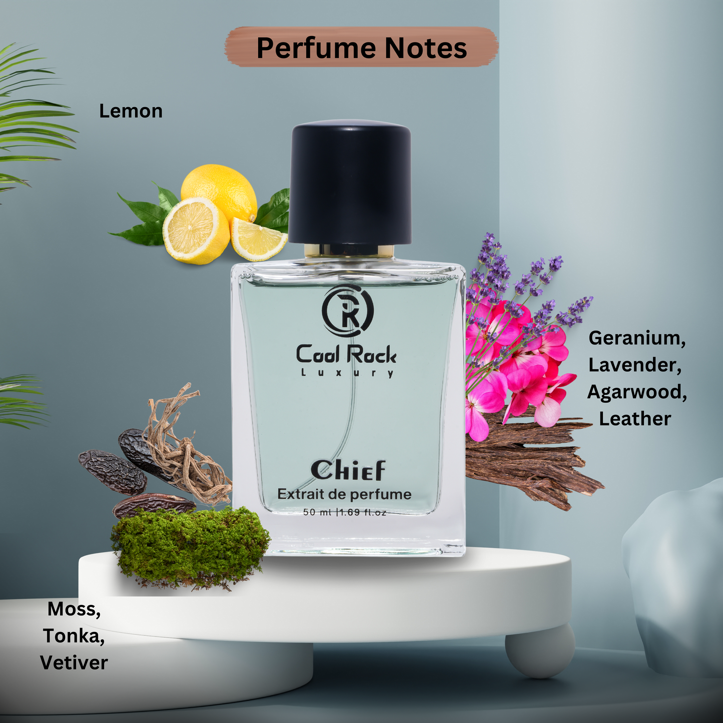 Premium Perfume Set of 3x50ml | Wonder Vibes For Men | Streak For Women | Chief Unisex Luxury Fragrance Scent